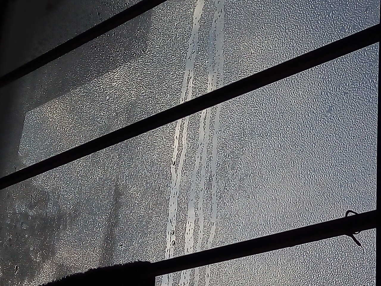 Musty Smell, Damp Air & a Humid House